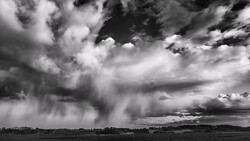 Dramatic black and white storm clouds with rain curtains over a flat landscape.