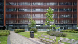 Modern courtyard with wooden benches, manicured lawn, and young trees facing a multi-story building with horizontal wooden slats.