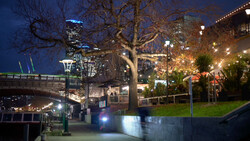 Urban waterfront plaza at twilight with illuminated bare tree, bridge, and lit buildings in background.