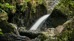 Waterfall flowing through moss-covered rocks in a forest stream.