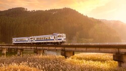Regional train crossing a concrete bridge over golden grain fields with forested hills at sunset.