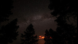 Milky Way galaxy stretches across a starry night sky framed by silhouetted evergreen trees, with warm orange light glowing near the horizon.