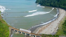 Train crossing a curved bridge over a river estuary with a sandy beach curving through turquoise water, dense green forest on a forested peninsula.