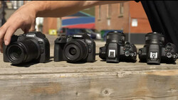 Four Canon DSLR cameras arranged in size progression on a wooden surface outdoors.