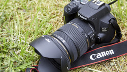Canon EOS 250D DSLR camera with telephoto lens on grass, Canon strap visible.