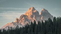 Jagged mountain peaks with golden alpenglow rising above a dense coniferous forest at dusk.