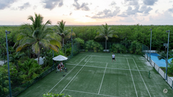 Aerial view of a tennis court with a player mid-game, surrounded by palm trees and lush greenery at dusk.