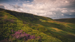 Rolling hillside with purple heather and green moss under dramatic cloudy sky.