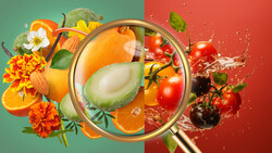 Magnifying glass examining fresh produce and vegetables against split green and red backgrounds.