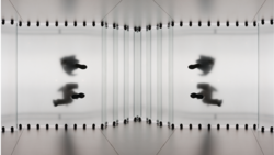 Mirrored symmetrical composition with blurred figures in motion against spiral notebook pages.