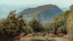 Forested valley with evergreen trees in foreground and distant mountain ridge under hazy sky.