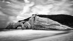 Weathered rock formation on a beach with dense vegetation on the cliff above, captured in black and white.