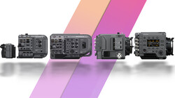 Lineup of five professional video cameras arranged left to right, displayed against a white background with pink diagonal stripes.