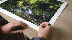 Two people examining a color photograph of a forest stream with lush green foliage.