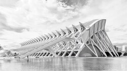 Monochromatic photograph of a striking ribbed skeletal building structure reflected in still water.