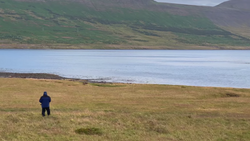 Solitary figure in dark jacket standing on grassy plain facing calm bay with green mountains beyond.