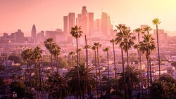 Downtown skyline at sunset with palm trees in silhouette against pink and golden sky.