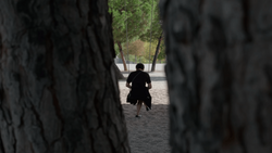 Person in black clothing framed between tree trunks, viewed through foreground foliage in sharp focus.