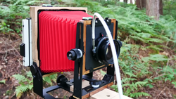Large format camera with red bellows mounted on wooden frame in forest setting.