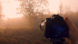 Canon DSLR camera held up to photograph a misty landscape with bare trees at golden hour.