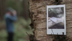 Instant film photo attached to a tree trunk with a blurred figure visible in the background.