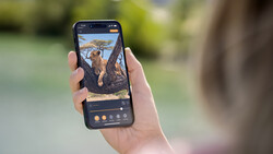 Smartphone displaying landscape photo editing interface with adjustment controls visible.