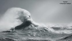 Massive ocean wave with dramatic spray and curl against a gray, overcast sky.