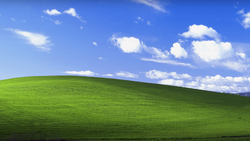 Rolling green hillside beneath blue sky with white cumulus clouds.