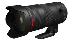 Professional telephoto zoom lens with red accent ring and petal-type lens hood attached.