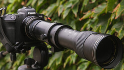 Canon DSLR camera mounted on tripod with telephoto lens extended, green foliage background.