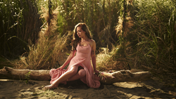 Woman in pink dress sitting on fallen log in dense forest with golden sunlight filtering through tall grasses.