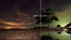 Before-and-after comparison showing barren landscape transformed into lush scene with tree and water reflection.