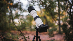 Telephoto lens mounted on tripod with black and white striped barrel against forested background.
