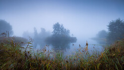 Misty lake landscape with reed-covered shoreline and forested islands shrouded in fog.