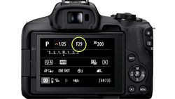 Screenshot of a camera's rear LCD display showing exposure settings with aperture f/29 highlighted.