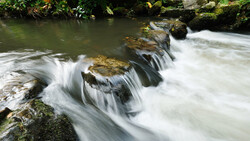 Cascading stream with multiple small waterfalls flowing over moss-covered rocks surrounded by lush green vegetation.