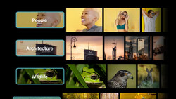 Screenshot of a photo library interface showing category tiles for People, Architecture, and Wildlife with thumbnail previews.