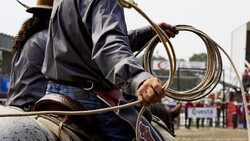 Cowboy holding coiled ropes while seated, with rodeo arena and spectators in background.