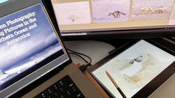 Photographer's workspace showing dual monitors displaying polar wildlife images and editing software alongside printed photograph proofs.