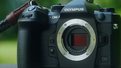 Olympus OM-1 camera body showing open mirror box and sensor with green background.