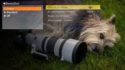 Screenshot showing SteadyShot image stabilization settings menu with a Westie dog next to a telephoto lens on grass.