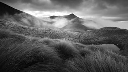 Windswept tussock grassland with mist-shrouded mountains under dramatic storm clouds.