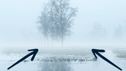 Minimalist composition with two arrows pointing outward over a misty wetland landscape with bare trees.
