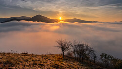 Sunrise breaking above a dense cloud layer with mountains silhouetted on the horizon and bare trees in the foreground.