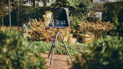 Film clapperboard mounted on tripod in garden surrounded by dried plants and greenery