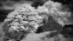 Infrared landscape photograph of a stone cottage surrounded by luminous trees against a dark sky.