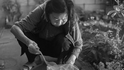 Person carefully examining plants in a greenhouse, captured in black and white photography.