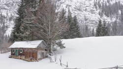 Wooden cabin nestled in deep snow beneath a bare tree, surrounded by evergreen forest on snowy hillsides.