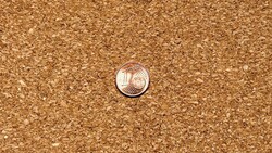 A penny placed on a cork surface for scale reference.