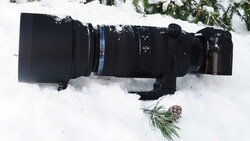 Telephoto lens and camera body laid horizontally in fresh snow with evergreen branches nearby.